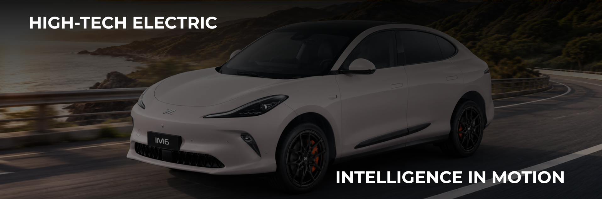 MG IM6 — Performance